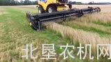 麦克唐FD1挠性割台收获草籽