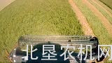 麦克唐M系列割晒机介绍
