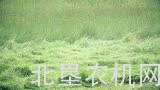 费拉割草机调整介绍