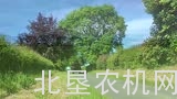 格兰8576翻晒机