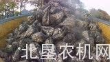庄稼汉甜菜运输机械