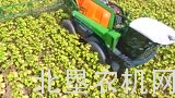 阿玛松向日葵专用喷药机