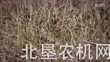 麦克唐FD135挠性割台