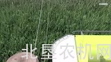 克拉斯CORTO系列割草机