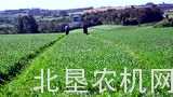 Stara公司Hércules 6.0撒肥机介绍