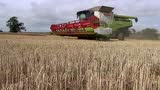 克拉斯LEXION760TT收割机作业实拍