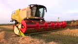 克拉斯LEXION750收割机作业实拍