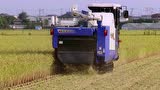 井关HFR450/463收割机介绍