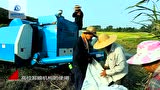 柳林4LZ-B系列纵向轴流全喂入联合收割机使用与维护