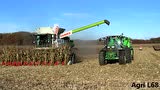 克拉斯LEXION770收获机作业视频