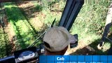 ANDREOLI公司ATHENA自走式橄榄收获机