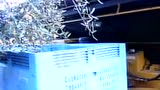 COE公司自走式橄榄收获机