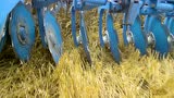 雷肯Rubin12 700KUA缺口偏置耙