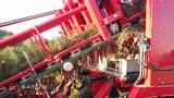 Sator公司Triden3行牵引式胡萝卜收获机