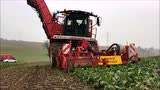 Vervaet公司Q616型甜菜收获机