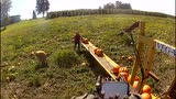 VEG-VEYER公司SR南瓜收获机