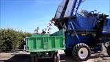 纽荷兰9090X高隙自走式橙子收获机