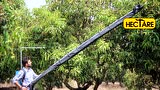 HECTARE公司手持式芒果采摘器