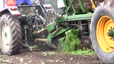 Valmet 705拖拉机牵引Thyregod公司甜菜收获机作业