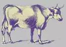 image004.jpg