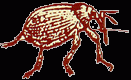 image006.gif