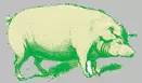 image008.jpg