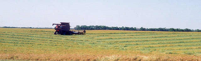 image003.jpg