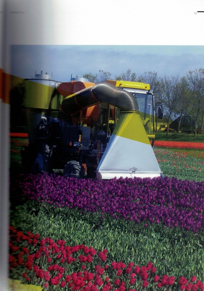 image011.jpg