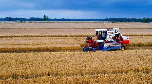 1-1ZPP93604b7.png