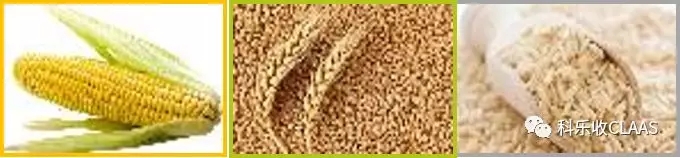 0U2295Q7-0.jpg