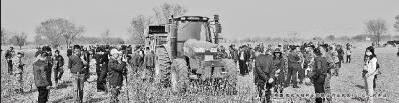 0TJ43196-1.jpg