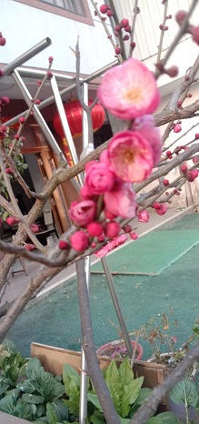 图片2.jpg