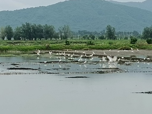 微信图片_20220803091735.jpg