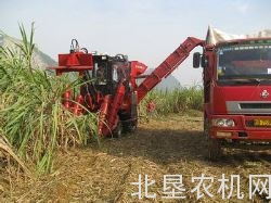 凯斯A8000甘蔗收获机