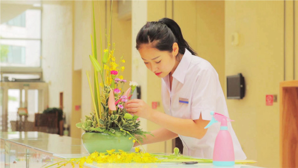 绿植花艺装饰