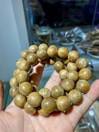 柬埔寨金丝糖结 柬埔寨金丝糖结
