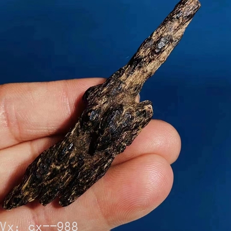 海南天然野生沉水级沉香