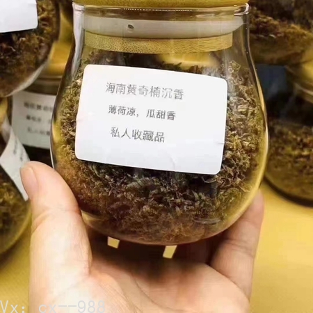 海南沉香白奇楠