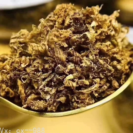海南黄奇楠沉香图片