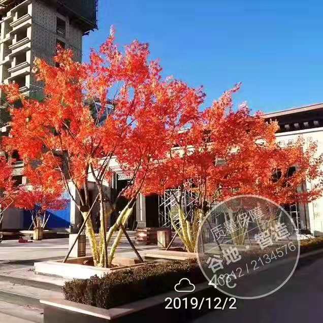 活动现场