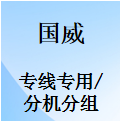 国威GW200/GW400/GW800/GW1000/GW1600-专线专用-分机分组