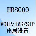 国威HB8000程控交换机,Voip/IMS中继,出局字头参数设置,出局组号,设置说明