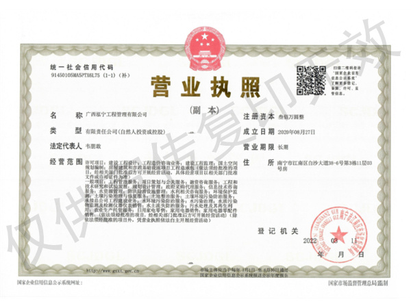 总公司营业执照