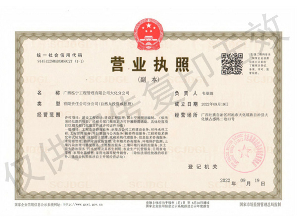 大化分公司营业执照