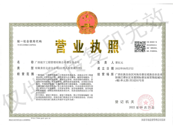 都安分公司营业执照