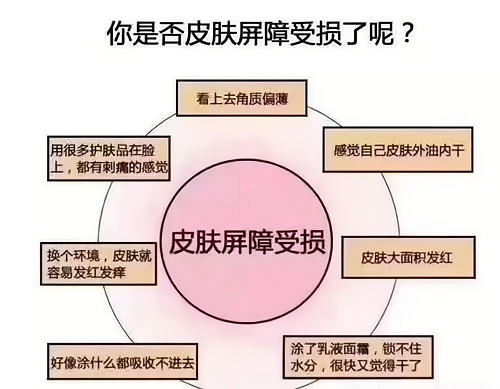 皮肤屏障3.png
