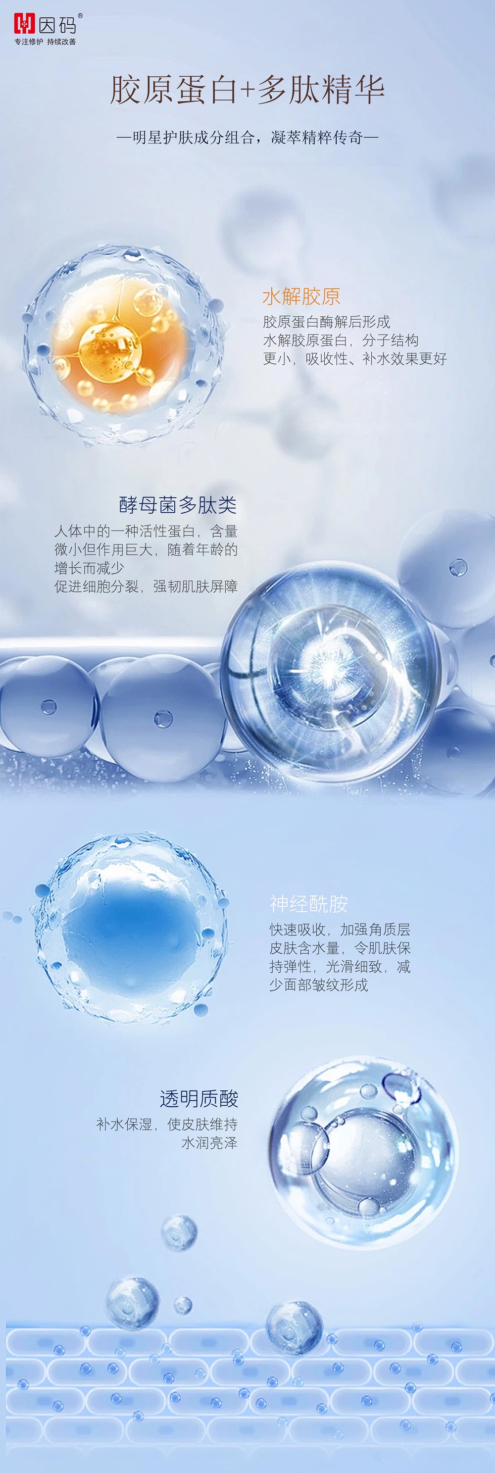详情成分 - 副本.jpg