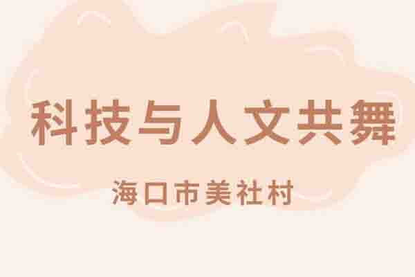 美社数字化