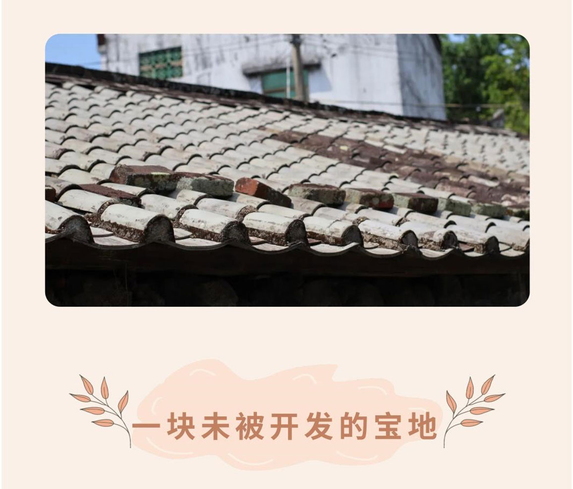 美社数字化_1_02.jpg