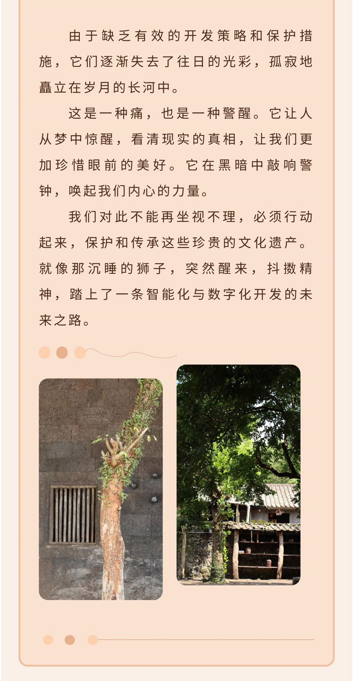 美社数字化_1_04.jpg
